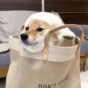 陈美娇花园大酒店
